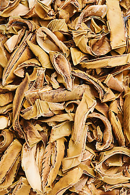 포토 JPG 스튜디오촬영 실내 건강 근접촬영 사람없음 하이앵글 여러개 약재 작두콩 한방차 플랫레이 국내포토 뷰포인트 다수 콩 내부 차_음료 약 플랫 전통차 파일형식