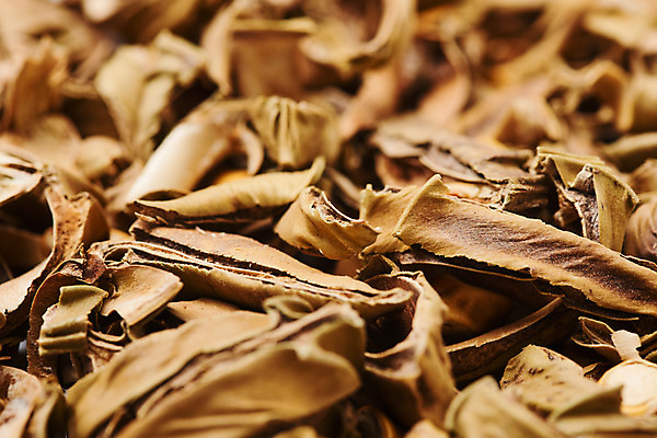 포토 JPG 스튜디오촬영 실내 건강 근접촬영 사람없음 여러개 약재 작두콩 한방차 국내포토 뷰포인트 다수 콩 내부 차_음료 약 전통차 파일형식