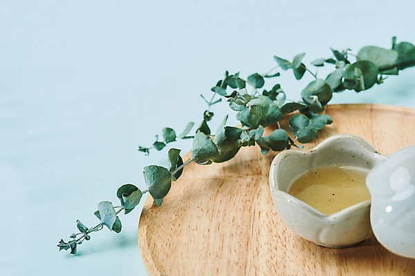 포토 JPG 스튜디오촬영 실내 건강 사람없음 약재 차 찻잔 파란배경 유칼립투스 한방차 국내포토 식물 음료 백그라운드 잔 내부 파란색 차_음료 약 전통차 파일형식