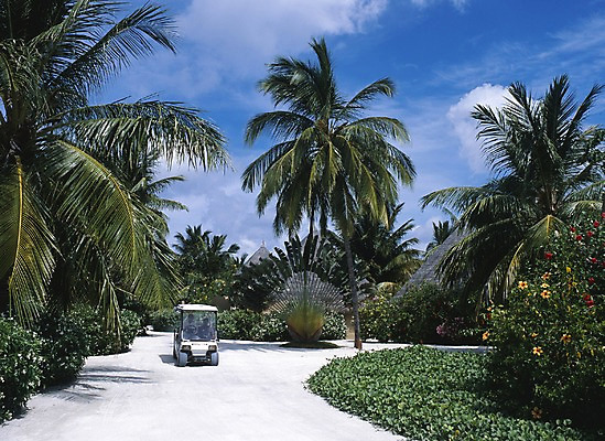 포토 주간 나무 식물 구름 해외풍경 해외 꽃 아시아 외국문화 섬 하늘 휴가 휴식 풍경 야외 관광지 세계 야자수 정원 카트 풀 휴양지 서아시아 몰디브 서남아시아 국내포토 자연요소 나라 문화 여행 컨셉 장소 파일형식