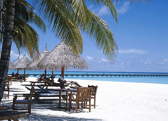 포토 주간 나무 식물 구름 해외풍경 해외 아시아 바다 외국문화 의자 탁자 하늘 휴가 휴식 사람 풍경 해변 야외 관광지 모래사장 세계 야자수 여행객 파라솔 휴양지 선베드 서아시아 몰디브 서남아시아 국내포토 자연요소 나라 문화 여행 가구 컨셉 장소 파일형식