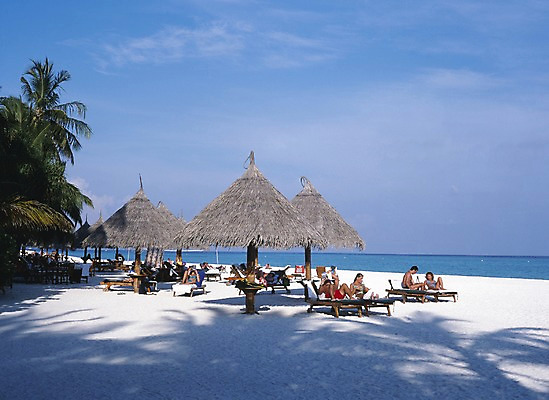 포토 주간 서양인 외국인 나무 식물 구름 해외풍경 해외 아시아 바다 외국문화 하늘 휴가 휴식 사람 풍경 해변 야외 관광지 모래사장 세계 야자수 여행객 파라솔 선탠 그늘 휴양지 선베드 서아시아 몰디브 서남아시아 국내포토 자연요소 나라 문화 여행 컨셉 의자 인종 장소 파일형식