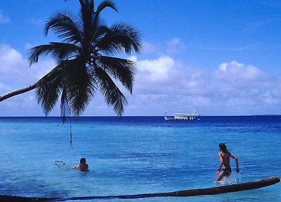 포토 주간 서양인 외국인 나무 식물 구름 해외풍경 해외 아시아 바다 외국문화 물놀이 하늘 휴가 휴식 사람 풍경 해변 야외 관광지 세계 야자수 여행객 휴양지 서아시아 몰디브 서남아시아 선박 국내포토 자연요소 나라 문화 여행 컨셉 수상교통 놀이 인종 장소 파일형식