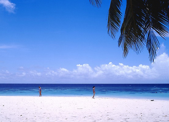 포토 주간 구름 해외풍경 해외 아시아 바다 외국문화 하늘 휴가 휴식 사람 풍경 해변 야외 관광지 모래사장 세계 야자수 여행객 휴양지 야자수잎 서아시아 몰디브 서남아시아 국내포토 자연요소 나무 나라 문화 여행 컨셉 잎 장소 파일형식
