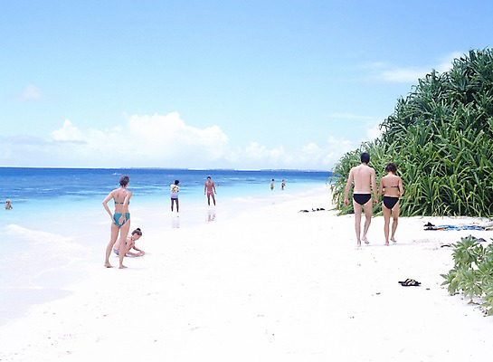 포토 주간 서양인 외국인 구름 해외풍경 해외 커플 수영복 아시아 바다 외국문화 섬 하늘 휴가 휴식 사람 풍경 해변 야외 관광지 모래사장 세계 여행객 풀 휴양지 서아시아 몰디브 서남아시아 쿠다반도스섬 국내포토 자연요소 식물 옷 나라 문화 여행 컨셉 관계 인종 장소 파일형식