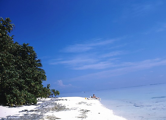 포토 주간 나무 식물 구름 해외풍경 해외 아시아 바다 외국문화 섬 하늘 휴가 휴식 풍경 해변 사람없음 야외 관광지 모래사장 세계 선탠 휴양지 선베드 서아시아 몰디브 서남아시아 국내포토 자연요소 나라 문화 여행 컨셉 의자 장소 파일형식