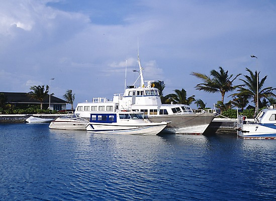 포토 주간 나무 식물 구름 해외풍경 해외 아시아 바다 외국문화 교통 수상교통 요트 하늘 휴가 휴식 주택 풍경 사람없음 야외 건물 관광지 세계 야자수 항구 유람선 휴양지 서아시아 몰디브 서남아시아 선박 국내포토 자연요소 건축물 나라 문화 교통수단 여행 컨셉 배_교통 교통시설 장소 파일형식
