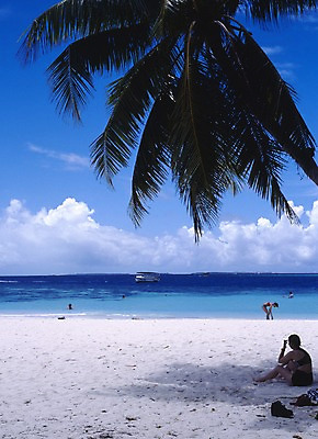 포토 주간 나무 식물 구름 해외풍경 해외 아시아 바다 외국문화 하늘 휴가 휴식 사람 풍경 해변 야외 관광지 모래사장 세계 야자수 여행객 그늘 휴양지 서아시아 몰디브 서남아시아 국내포토 자연요소 나라 문화 여행 컨셉 장소 파일형식