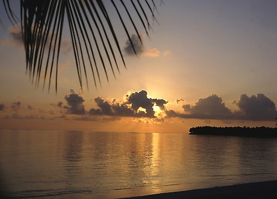 포토 주간 구름 해외풍경 해외 실루엣 아시아 바다 외국문화 하늘 나뭇잎 풍경 해변 사람없음 야외 관광지 세계 노을 일몰 휴양지 야자수잎 서아시아 몰디브 서남아시아 국내포토 자연요소 나라 문화 여행 잎 촬영기법 장소 파일형식