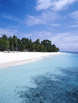 포토 주간 나무 식물 구름 해외풍경 해외 아시아 바다 외국문화 섬 하늘 휴가 휴식 풍경 해변 사람없음 야외 관광지 모래사장 세계 야자수 휴양지 서아시아 몰디브 서남아시아 선박 국내포토 자연요소 나라 문화 여행 컨셉 수상교통 장소 파일형식