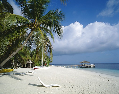 포토 주간 나무 식물 구름 해외풍경 해외 아시아 바다 외국문화 하늘 휴가 휴식 풍경 해변 사람없음 야외 관광지 모래사장 세계 야자수 항구 휴양지 선베드 방갈로 서아시아 몰디브 서남아시아 국내포토 자연요소 나라 문화 여행 컨셉 의자 교통시설 숙소 장소 파일형식