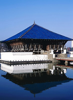 포토 JPG 주간 해외풍경 해외 건축물 건축 아시아 종교 호수 외국문화 해외건축 종교건축 풍경 사람없음 야외 건물 세로 물 관광지 세계 반사 물가 사찰 사원 불상 스리랑카 국내포토 자연요소 나라 문화 여행 불교 비즈니스 파일형식