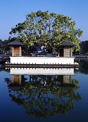 포토 JPG 주간 나무 해외풍경 해외 건축물 건축 아시아 종교 호수 외국문화 불교 해외건축 종교건축 풍경 사람없음 야외 건물 세로 관광지 강 세계 반사 물가 사찰 사원 불상 스리랑카 국내포토 자연요소 식물 나라 문화 여행 비즈니스 파일형식