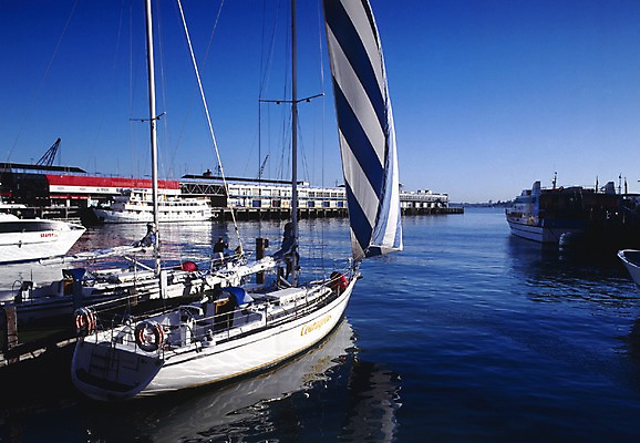 포토 JPG 주간 해외풍경 해외 건축물 건축 바다 외국문화 교통 수상교통 요트 하늘 풍경 사람없음 야외 건물 가로 관광지 세계 항구 오세아니아 정박 돛 뉴질랜드 남태평양 선박 국내포토 자연요소 나라 문화 교통수단 여행 배_교통 교통시설 태평양 파일형식