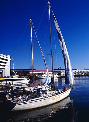 포토 JPG 주간 해외풍경 해외 바다 외국문화 교통 수상교통 요트 하늘 풍경 사람없음 야외 세로 관광지 세계 항구 오세아니아 정박 뉴질랜드 남태평양 선박 국내포토 자연요소 나라 문화 교통수단 여행 배_교통 교통시설 태평양 파일형식