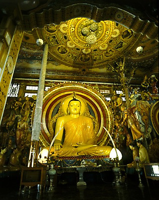 포토 JPG 해외풍경 해외 아시아 종교 외국문화 불교 조명 신전 실내 사람없음 세로 관광지 세계 불상 천장 스리랑카 국내포토 나라 문화 여행 고건축 풍경 내부 파일형식