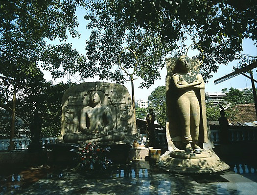 포토 JPG 주간 나무 해외풍경 해외 아시아 종교 예술 외국문화 불교 그림자 풍경 사람없음 야외 가로 물 관광지 세계 문화재 그늘 불상 석상 스리랑카 국내포토 자연요소 식물 나라 문화 여행 파일형식