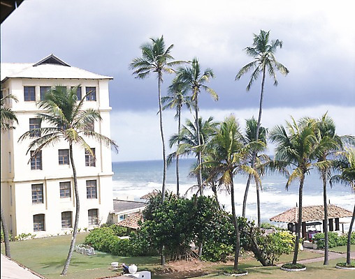 포토 JPG 주간 나무 구름 해외풍경 해외 건축물 건축 아시아 파도 바다 외국문화 하늘 풍경 해변 사람없음 야외 건물 가로 관광지 세계 야자수 스리랑카 국내포토 자연요소 식물 나라 문화 여행 파일형식