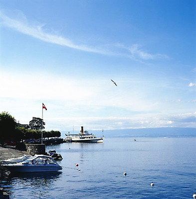 포토 JPG 주간 나무 구름 해외풍경 해외 유럽 바다 컬러 외국문화 교통 수상교통 요트 갈매기 하늘 풍경 해변 사람없음 야외 세로 파란색 관광지 세계 정박 스위스 부표 선박 국내포토 자연요소 식물 나라 문화 교통수단 여행 배_교통 조류 파일형식