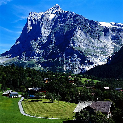 포토 JPG 주간 나무 해외풍경 해외 건축물 건축 유럽 외국문화 하늘 산 주택 풍경 초원 사람없음 야외 건물 세로 관광지 세계 마을 절벽 숲 스위스 고산지대 국내포토 자연요소 식물 나라 문화 여행 파일형식