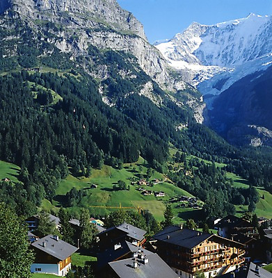 포토 JPG 주간 나무 해외풍경 해외 건축물 건축 유럽 외국문화 산 주택 풍경 초원 사람없음 야외 건물 세로 관광지 세계 마을 눈 숲 스위스 고산지대 국내포토 자연요소 식물 나라 문화 여행 날씨 파일형식