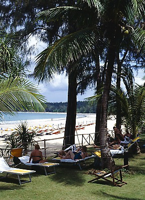 포토 JPG 주간 해외풍경 해외 아시아 여유 바다 외국문화 의자 태국 휴식 태국문화 풍경 잔디 해변 야외 세로 관광지 세계 야자수 동남아시아 그늘 해수욕장 휴양지 선베드 동아시아 국내포토 자연요소 나무 식물 동양문화 감정 나라 문화 여행 가구 컨셉 장소 파일형식