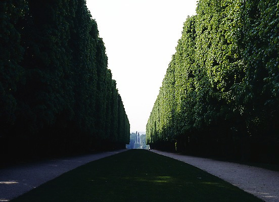 포토 JPG 주간 나무 해외풍경 해외 공원 유럽 길 풍경 사람없음 야외 가로 관광지 세계 정원 프랑스 파리_프랑스 조경수 국내포토 자연요소 식물 공공시설 나라 여행 파일형식