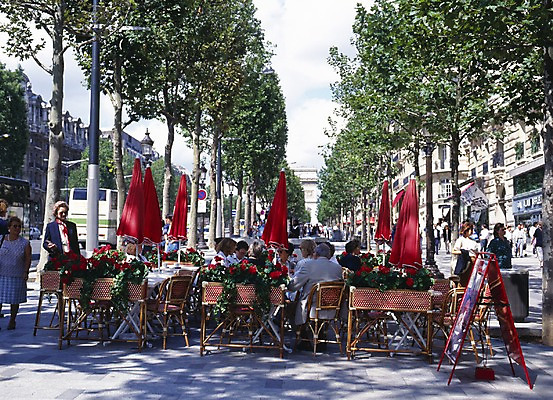 포토 JPG 주간 나무 해외풍경 해외 유럽 의자 탁자 거리 사람 풍경 야외 건물 가로 관광지 세계 카페 프랑스 파라솔 보행자 가로수 노천카페 파리_프랑스 국내포토 자연요소 식물 건축물 나라 여행 가구 상점 파일형식
