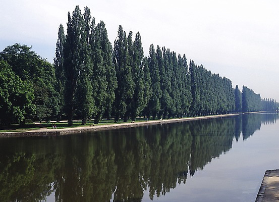 포토 JPG 주간 나무 해외풍경 해외 유럽 여러그루 풍경 사람없음 야외 가로 관광지 강 세계 반사 프랑스 숲 파리_프랑스 국내포토 자연요소 식물 나라 여행 다수 파일형식