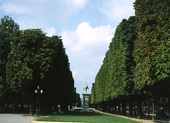 포토 JPG 주간 나무 구름 해외풍경 해외 유럽 컬러 가로등 하늘 조명 풍경 사람없음 야외 가로 초록색 관광지 세계 프랑스 숲 조경 파리_프랑스 조경수 청동상 국내포토 자연요소 식물 공공시설 나라 여행 조각상 파일형식