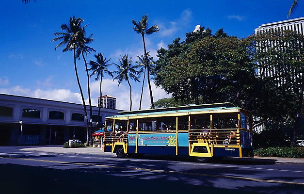 포토 JPG 주간 나무 식물 구름 해외풍경 해외 도로 길 육상교통 외국문화 섬 교통 한대 북아메리카 하늘 휴가 휴식 버스 아메리카 사람 빌딩 야외 건물 관광지 세계 야자수 여행객 미국 그늘 휴양지 하와이 태평양 콘도 셔틀버스 상업시설 국내포토 자연요소 1 건축물 문화 교통수단 바다 여행 컨셉 교통시설 숙소 대중교통 풍경 장소 대륙 시설 상업 파일형식