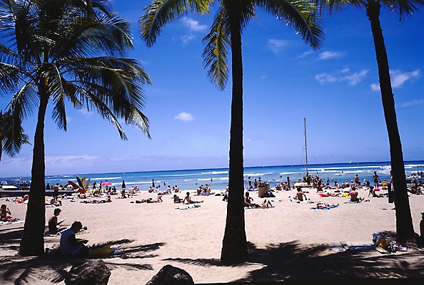 포토 JPG 주간 서양인 외국인 나무 식물 구름 해외풍경 해외 파도 바다 외국문화 섬 북아메리카 하늘 휴가 휴식 아메리카 사람 해변 야외 관광지 모래사장 세계 야자수 여행객 미국 그늘 휴양지 하와이 태평양 국내포토 자연요소 문화 여행 컨셉 인종 풍경 장소 대륙 파일형식