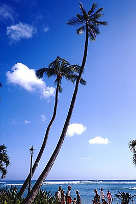 포토 JPG 주간 서양인 외국인 나무 식물 구름 해외풍경 해외 파도 바다 외국문화 섬 북아메리카 가로등 난간 하늘 휴가 휴식 아메리카 사람 해변 야외 관광지 세계 야자수 여행객 미국 휴양지 하와이 태평양 국내포토 자연요소 공공시설 문화 여행 컨셉 인종 풍경 장소 대륙 파일형식
