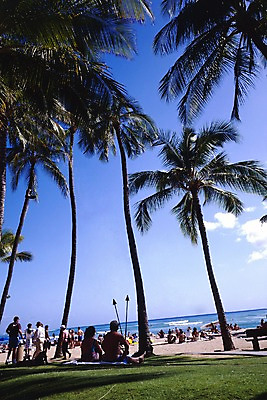 포토 JPG 주간 서양인 외국인 나무 식물 구름 해외풍경 해외 바다 외국문화 섬 북아메리카 하늘 휴가 휴식 아메리카 사람 잔디 해변 야외 관광지 모래사장 세계 야자수 여행객 미국 휴양지 하와이 태평양 국내포토 자연요소 문화 여행 컨셉 인종 풍경 장소 대륙 파일형식