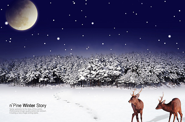 PSD 동물 편집 편집이미지 척추동물 육지동물 두마리 설경 겨울 포유류 사슴 풍경 사람없음 야외 달 눈 야간 합성 순록 이미지편집 자연요소 계절 2 날씨 파일형식