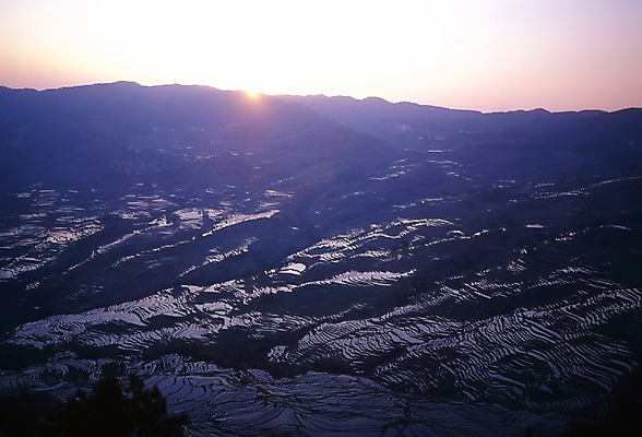 포토 JPG 주간 해외풍경 해외 아시아 외국문화 산 중국문화 논 풍경 사람없음 야외 가로 관광지 태양 일출 중국 다랭이논 국내포토 자연요소 동양문화 나라 문화 여행 농업 노을 파일형식