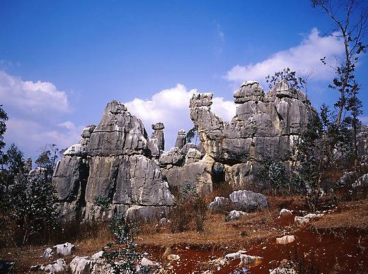 포토 JPG 주간 나무 구름 해외풍경 해외 아시아 외국문화 하늘 중국문화 풍경 사람없음 야외 가로 관광지 중국 돌_바위 바위 국내포토 자연요소 식물 동양문화 나라 문화 여행 파일형식