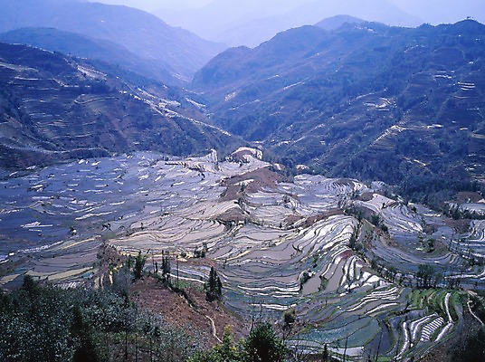 포토 JPG 주간 나무 해외풍경 해외 계절 아시아 외국문화 농업 산 중국문화 논 풍경 사람없음 야외 가로 관광지 중국 봄 국내포토 자연요소 식물 동양문화 나라 산업 문화 여행 파일형식