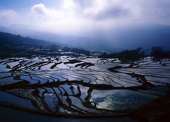 포토 JPG 주간 나무 구름 해외풍경 해외 계절 아시아 외국문화 농업 하늘 산 중국문화 논 풍경 사람없음 야외 가로 관광지 중국 봄 국내포토 자연요소 식물 동양문화 나라 산업 문화 여행 파일형식