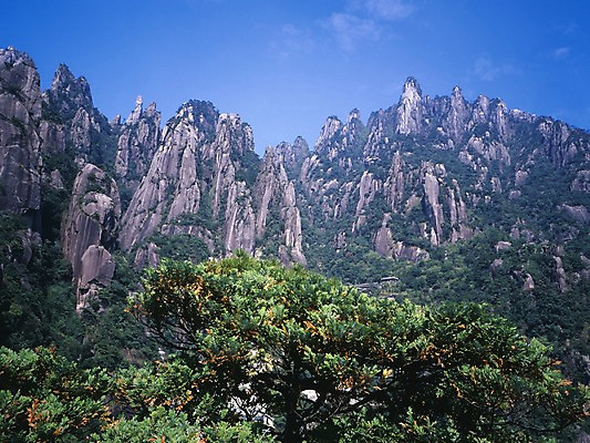 포토 JPG 주간 나무 해외풍경 해외 계절 아시아 외국문화 하늘 산 중국문화 풍경 사람없음 야외 가로 여름 관광지 중국 절벽 황산 국내포토 자연요소 식물 동양문화 나라 문화 여행 파일형식