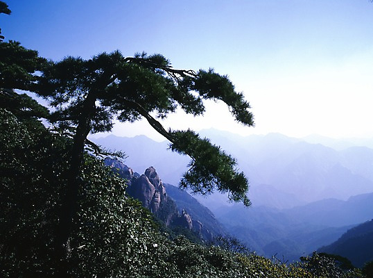 포토 JPG 주간 나무 식물 해외풍경 해외 계절 아시아 외국문화 하늘 산 중국문화 풍경 사람없음 야외 가로 여름 관광지 중국 소나무 국내포토 자연요소 동양문화 나라 문화 여행 파일형식