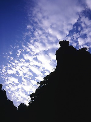 포토 JPG 주간 자연요소 나무 구름 해외풍경 해외 아시아 외국문화 하늘 중국문화 풍경 사람없음 야외 세로 관광지 중국 양털구름 국내포토 식물 동양문화 나라 문화 여행 파일형식 구름_자연