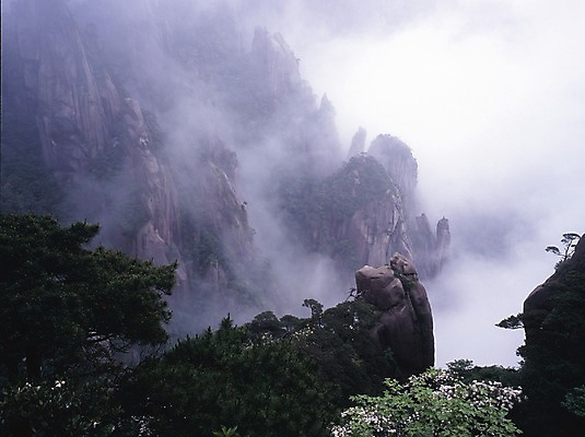 포토 JPG 주간 나무 구름 해외풍경 해외 아시아 외국문화 산 중국문화 풍경 사람없음 야외 가로 관광지 중국 절벽 안개 돌_바위 바위 운해 국내포토 자연요소 식물 동양문화 나라 문화 여행 날씨 파일형식 구름_자연