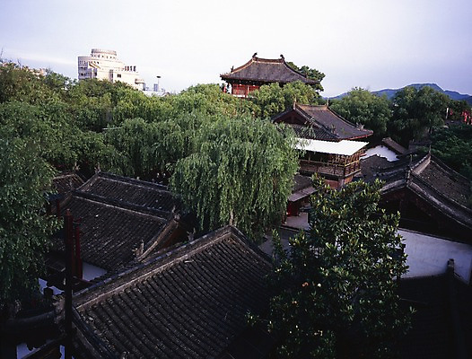 포토 JPG 주간 나무 해외풍경 해외 시설물 건축 아시아 외국문화 고건축 해외건축 지붕 중국문화 풍경 사람없음 야외 건물 가로 관광지 중국 동양건축 버드나무 중국건축 송성 국내포토 자연요소 식물 동양문화 건축물 나라 문화 여행 파일형식 동양