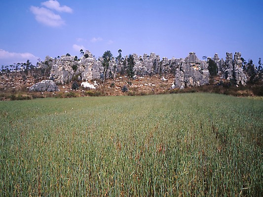 포토 JPG 주간 구름 해외풍경 해외 아시아 외국문화 하늘 산 중국문화 풍경 초원 사람없음 야외 가로 관광지 중국 절벽 돌_바위 바위 운남성 나평현 유채밭 국내포토 자연요소 동양문화 나라 문화 여행 밭 성 유채 파일형식