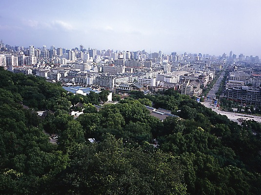 포토 JPG 주간 나무 구름 해외풍경 해외 시설물 현대건축 건축 아시아 길 외국문화 해외건축 하늘 산 중국문화 아파트 풍경 사람없음 야외 건물 가로 관광지 중국 도시 항주 국내포토 자연요소 식물 동양문화 건축물 나라 문화 여행 주택 파일형식