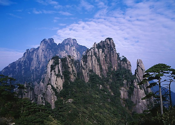 포토 JPG 주간 나무 구름 해외풍경 해외 계절 아시아 외국문화 하늘 산 중국문화 풍경 사람없음 야외 가로 여름 관광지 중국 절벽 돌_바위 바위 소나무 황산 국내포토 자연요소 식물 동양문화 나라 문화 여행 파일형식