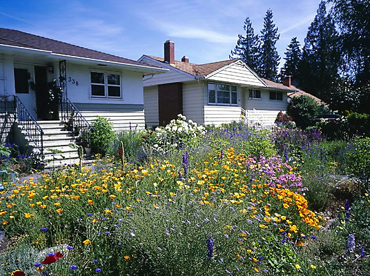 포토 JPG 주간 나무 식물 해외풍경 시설물 현대건축 건축 꽃 외국문화 캐나다 북아메리카 자연 하늘 주택 풍경 사람없음 야외 건물 관광지 전원주택 국내포토 자연요소 해외 건축물 문화 여행 아메리카 생태계 파일형식