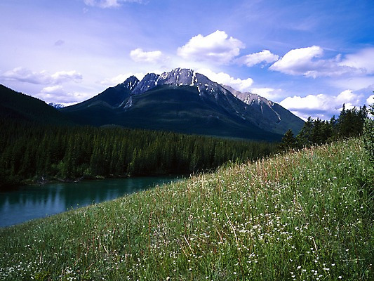 포토 JPG 주간 나무 구름 해외풍경 외국문화 캐나다 북아메리카 자연 하늘 산 풍경 초원 사람없음 야외 물 관광지 강 풀 숲 국내포토 자연요소 식물 해외 문화 여행 아메리카 생태계 파일형식
