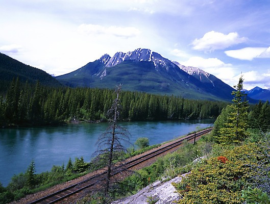 포토 JPG 주간 나무 식물 구름 해외풍경 외국문화 캐나다 북아메리카 자연 하늘 산 풍경 사람없음 야외 물 관광지 강 기찻길 풀 철도의날 국내포토 자연요소 해외 문화 여행 아메리카 생태계 파일형식 법정기념일